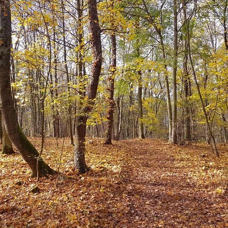 Gemuetliche Ferienwohnung Am Ortsrand Kreuzwertheim 外观 照片