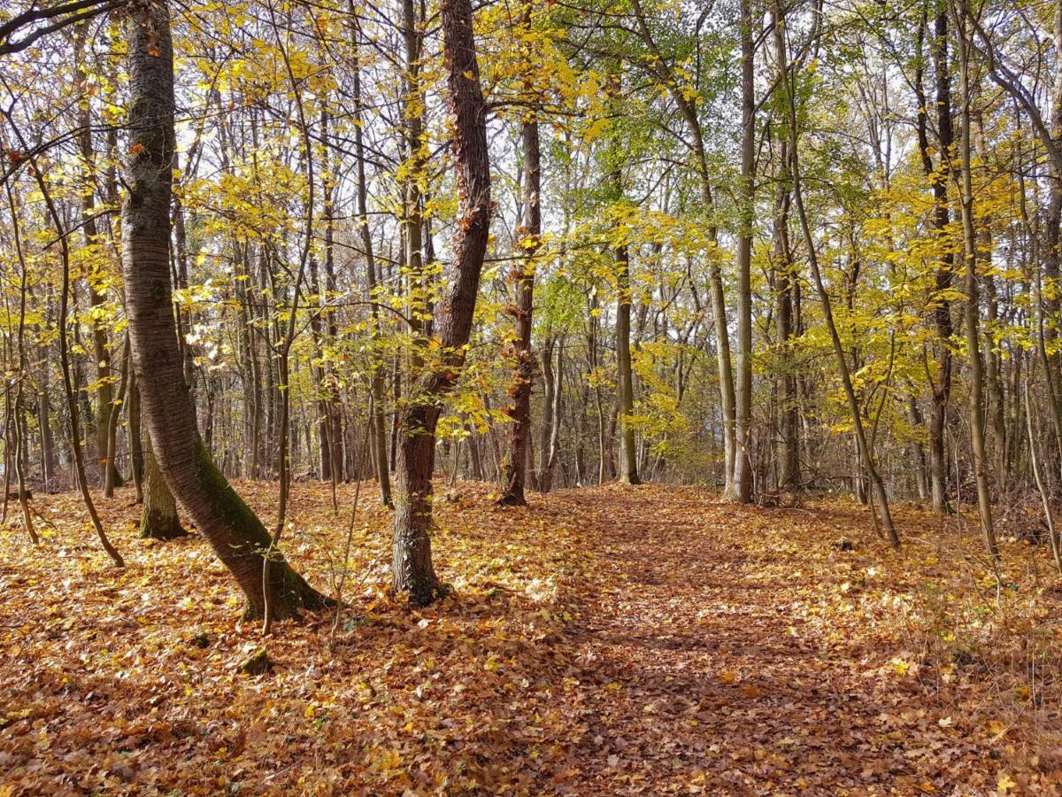 Gemuetliche Ferienwohnung Am Ortsrand Kreuzwertheim 外观 照片