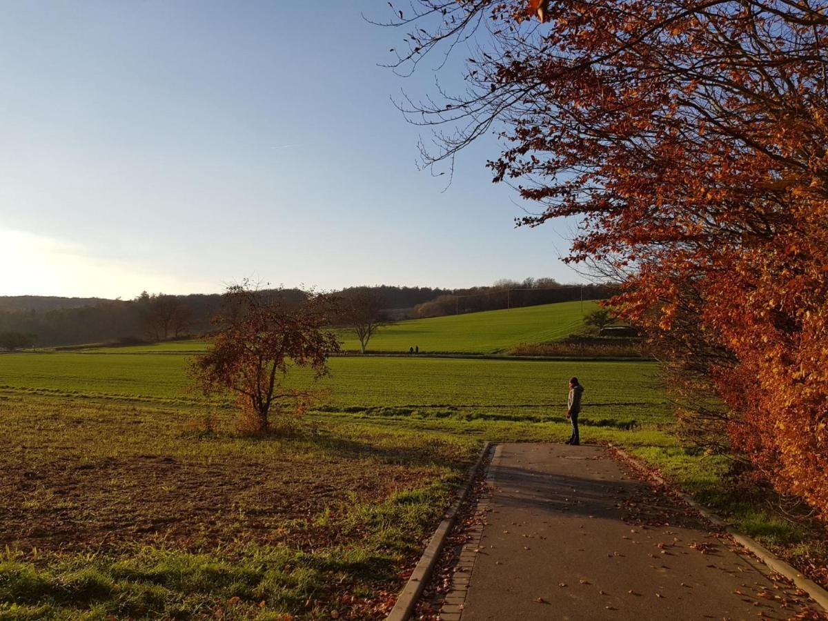 Gemuetliche Ferienwohnung Am Ortsrand Kreuzwertheim 外观 照片